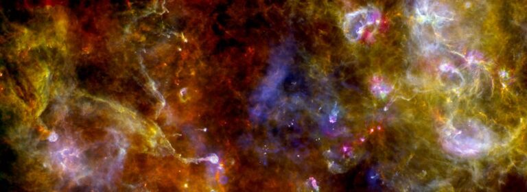 water star dust