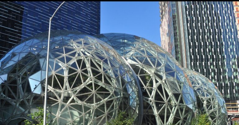 Il mantello di Amazon