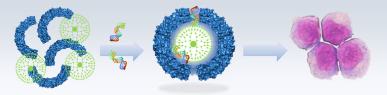 Nano-trasportatori per colpire in modo mirato ed eliminare le cellule tumorali nano-trasportatori cellule tumorali