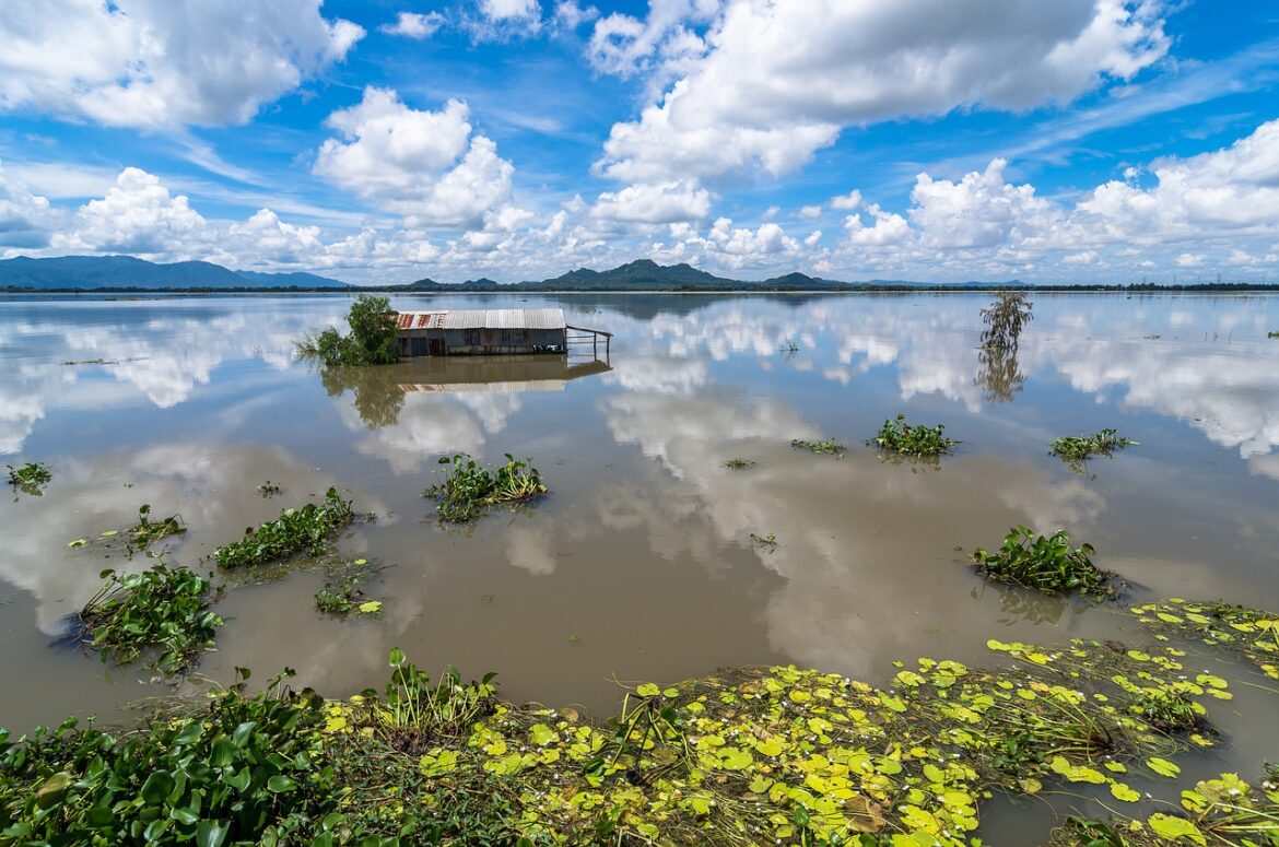 delta del Mekong sprofonda livello del mare