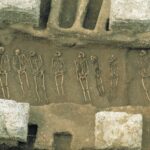 Black Death shaped evolution of immunity genes, setting course for how we respond to disease today