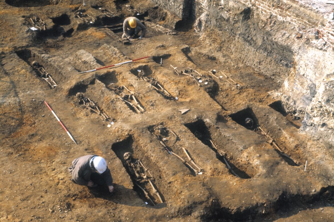 Black Death shaped evolution of immunity genes, setting course for how we respond to disease today