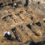 Black Death shaped evolution of immunity genes, setting course for how we respond to disease today