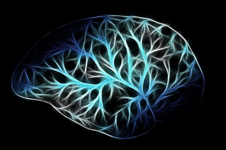 alterazione della comunicazione neurale nell’epilessia temporale