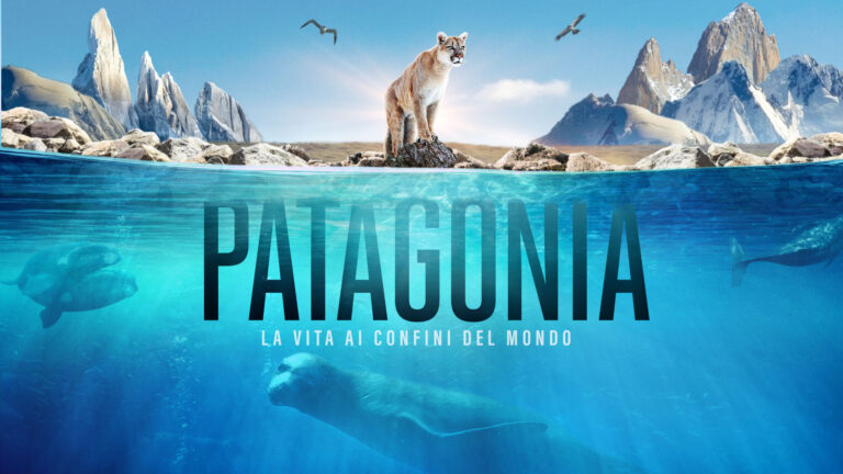 Patagonia la vita ai confini del mondo