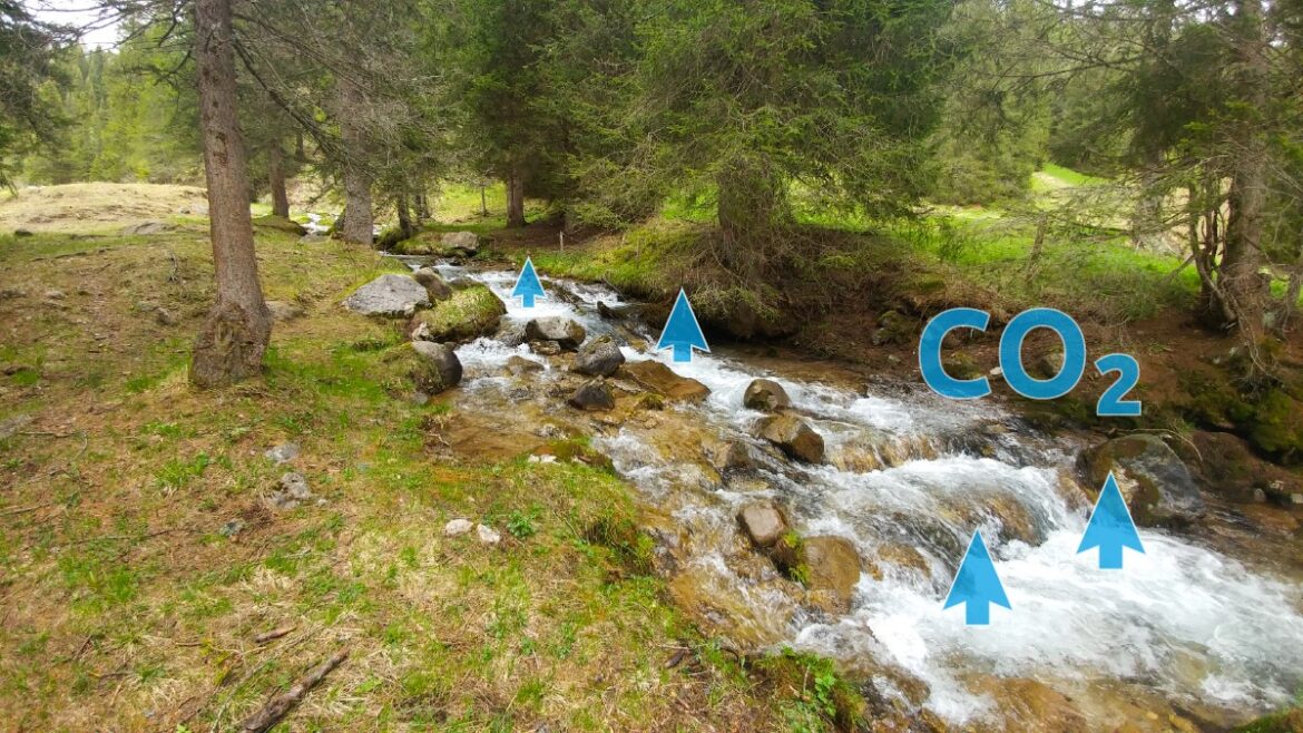 corsi acqua montani gas serra i corsi d’acqua montani rilasciano grandi quantità di gas serra in atmosfera