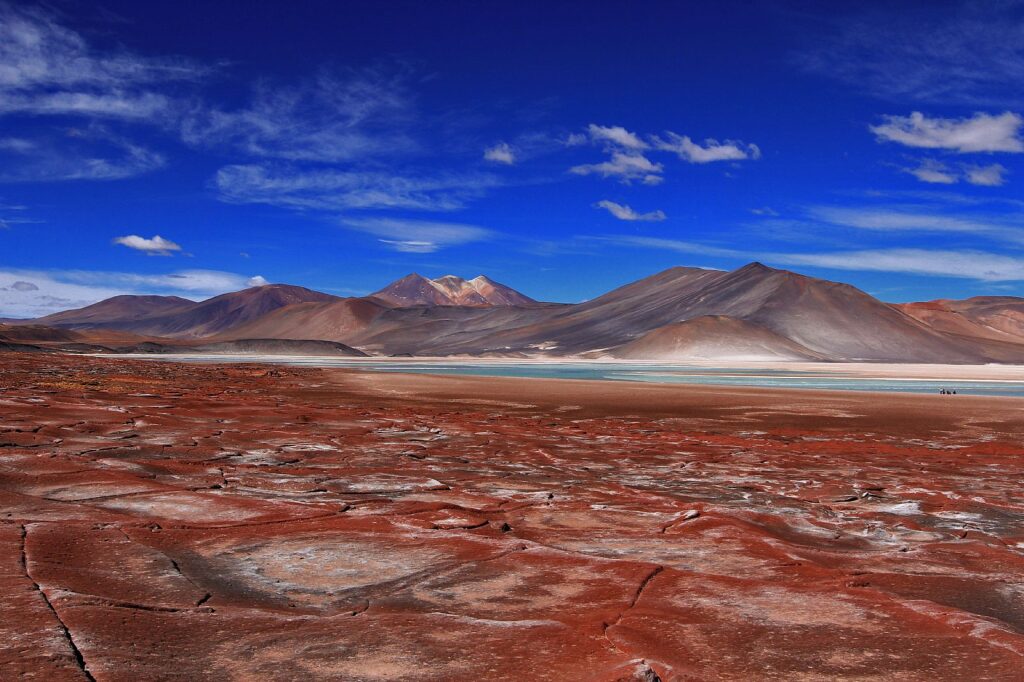 deserto di Atacama vita Piedras Rojas. Crediti: Armando Azua-Bustos