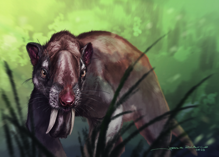 A reconstruction of Thylacosmilus atrox