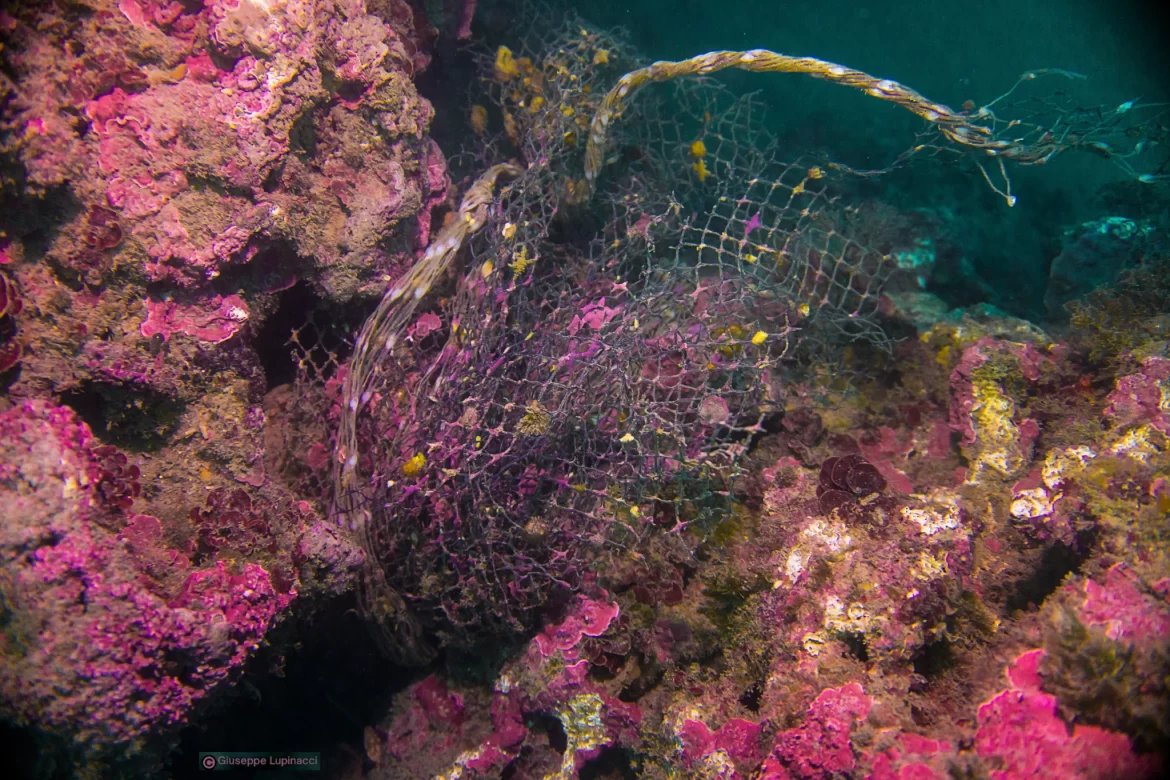 Esplorazioni nella platisfera, reportage e mostra fotografica sull’inquinamento marino da plastica Esplorazioni nella platisfera