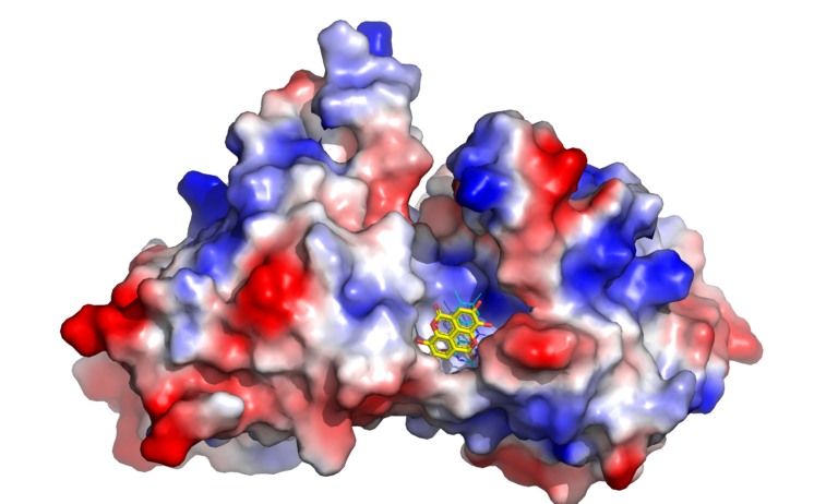 acido ellagico biofilm