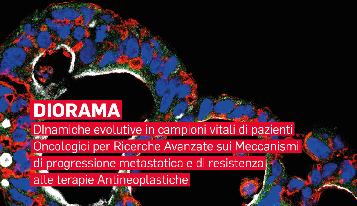 Finanziamento di 8 milioni a UniTo per studiare i meccanismi di resistenza ai farmaci anti-neoplastici messi in atto dai tumori  DIORAMA