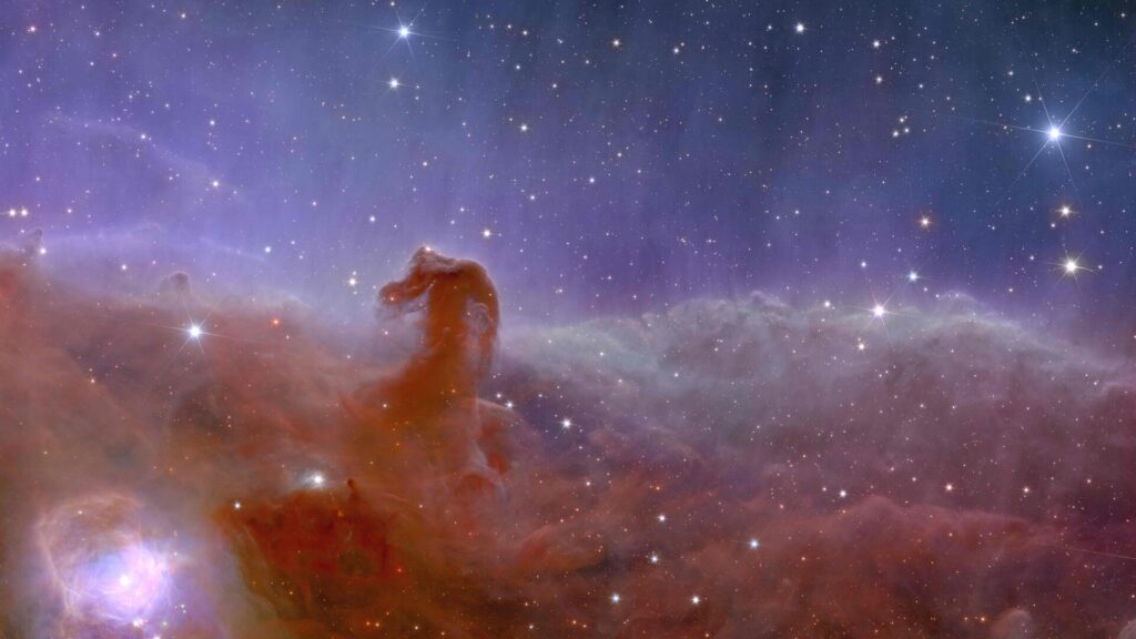 first images Euclid’s view of the Horsehead Nebula. ESA/Euclid/Euclid Consortium/NASA, image processing by J.-C. Cuillandre (CEA Paris-Saclay), G. Anselmi, <a href="http://www.esa.int/spaceinvideos/Terms_and_Conditions" target="_top">CC BY-SA 3.0 IGO</a>
