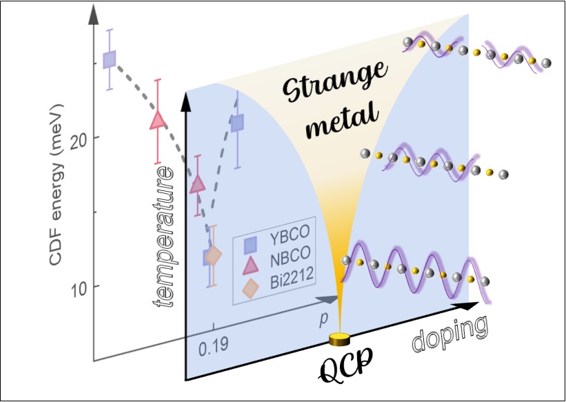 Il punto critico quantistico (QCP) nel diagramma di fase dei cuprati è riconoscibile perché l’energia delle fluttuazioni di carica si avvicina a zero. I risultati sperimentali sono nel diagramma in secondo piano, l’andamento ideale è disegnato in primo piano