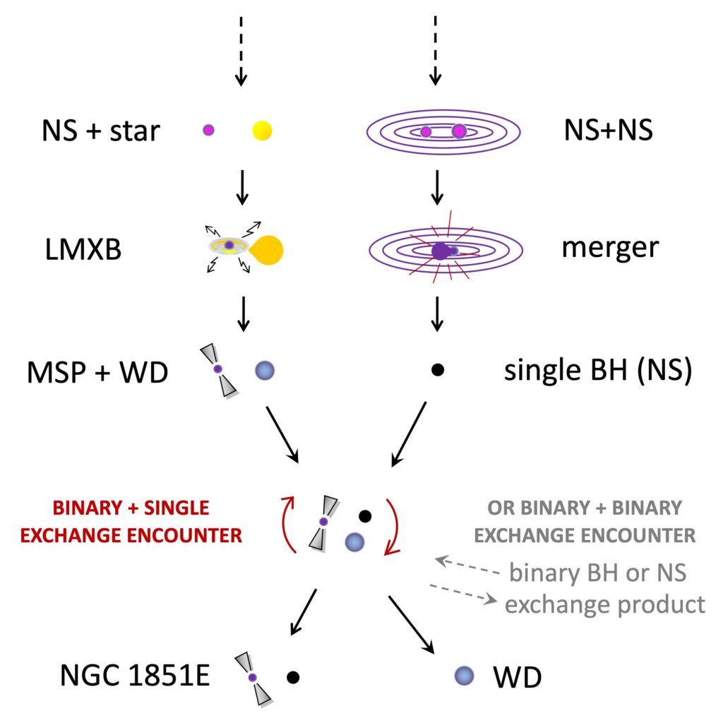 Potenziale storia della formazione della radiopulsar NGC 1851E e della sua stella compagna. Crediti: Thomas Tauris (Aalborg University / MPIfR)