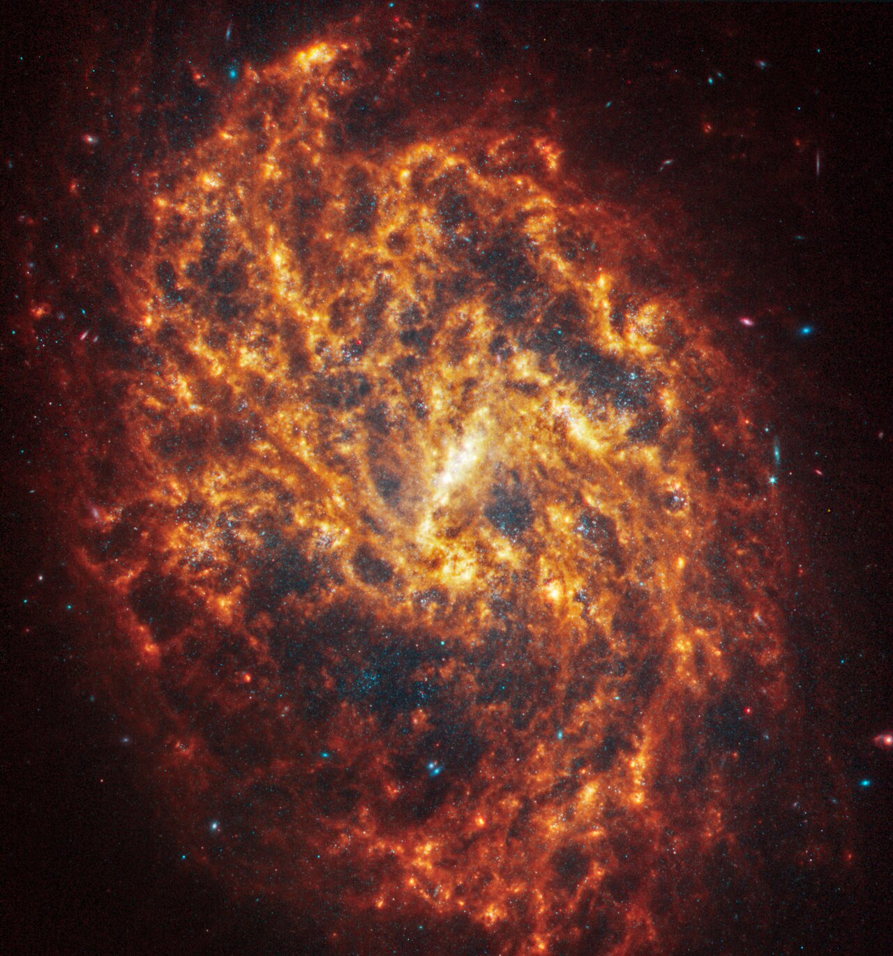 Webb’s image of NGC 1087 shows a densely populated face-on spiral galaxy anchored by a central region that takes the shape of a short line. Its filamentary orange spiral arms appear muddled together and it is difficult to pick out individual spiral arms. The arms extend to the edges and rotate clockwise.