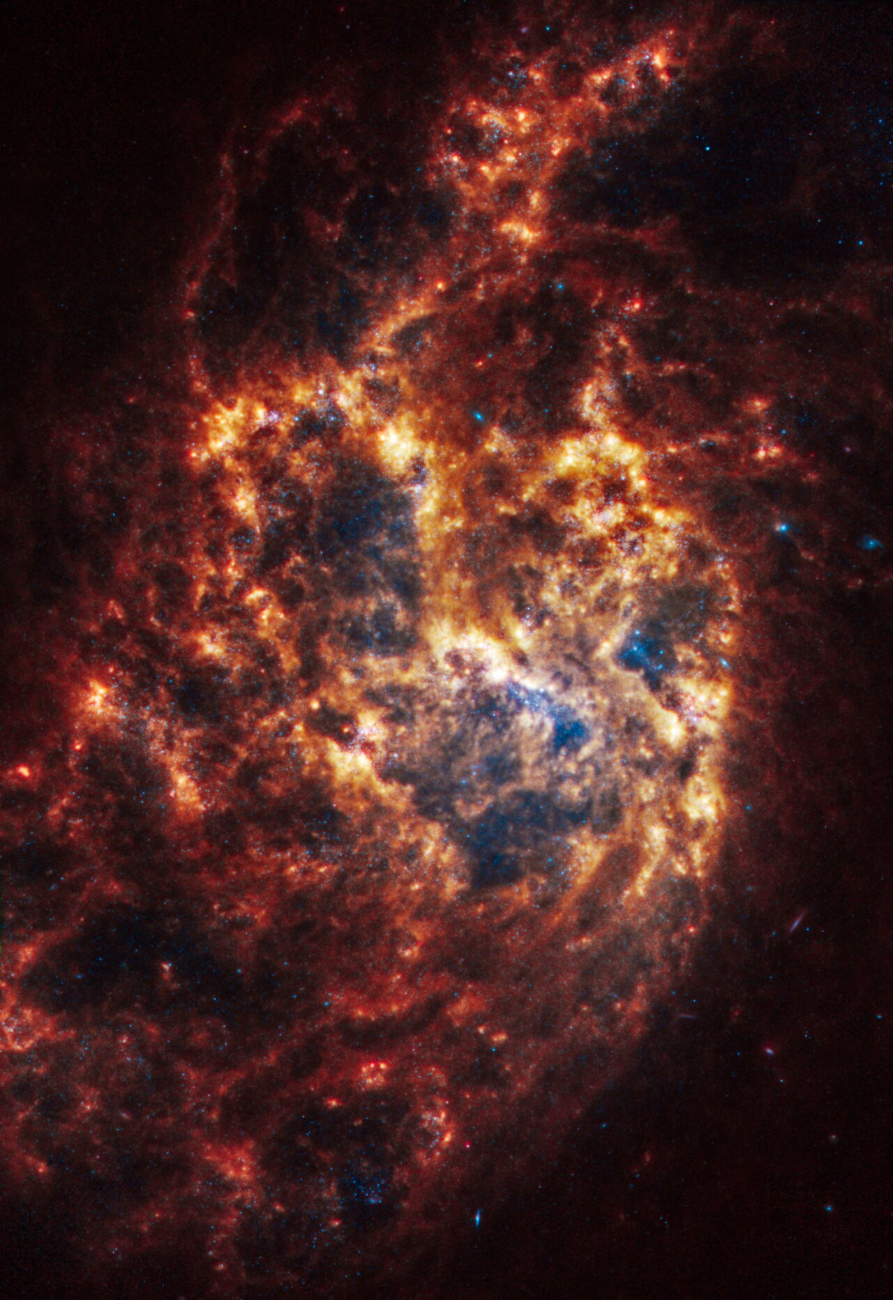 Webb’s image of NGC 1385 shows a messy face-on spiral galaxy with filamentary structures in shades of white, yellow, orange, and red. At the centre are some light blue regions.