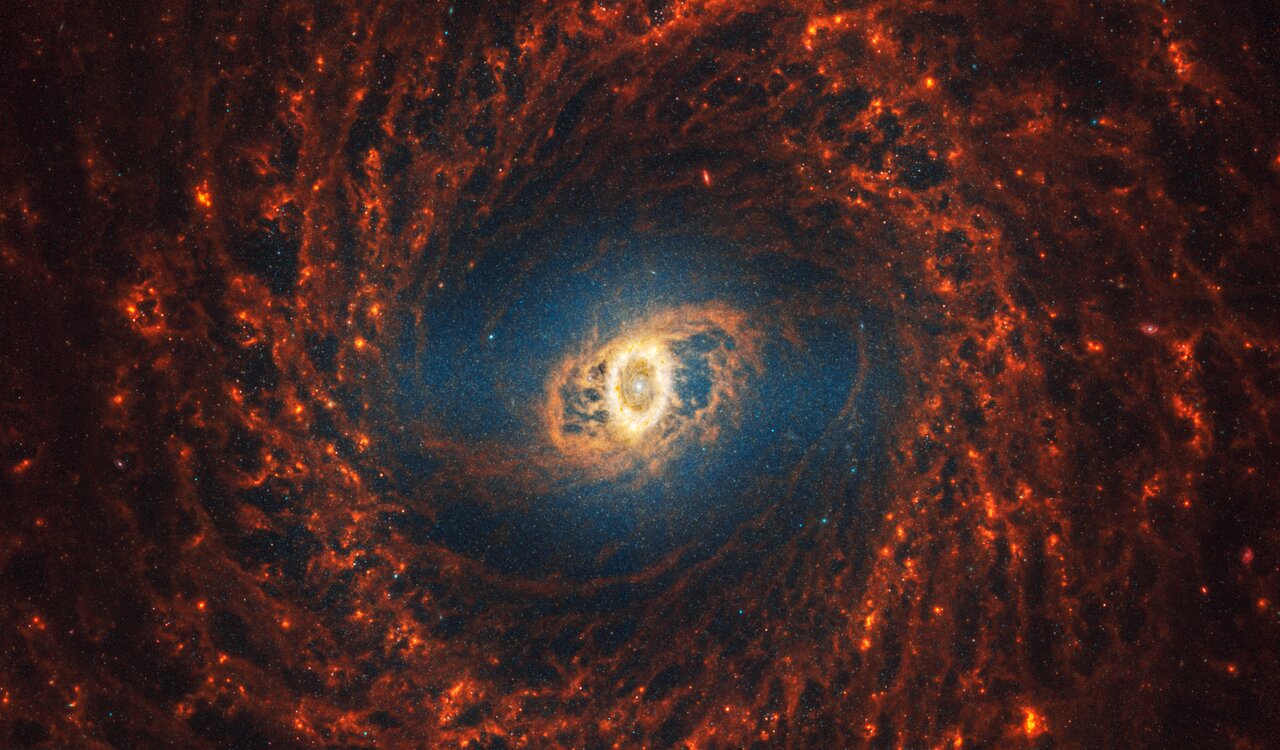 Webb’s image of NGC 3351 shows a face-on barred spiral galaxy anchored by its central region, which is oval and shows a bright white point at the centre with darker and lighter yellow ovals around it. The galaxy’s filamentary spiral orange arms rotate clockwise and form a wide circular structure at the outer edges.