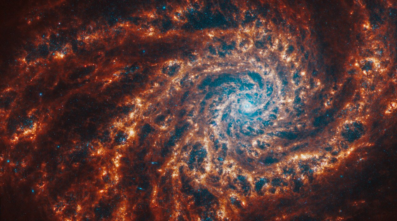 Webb’s image of NGC 4254 shows a densely populated face-on spiral galaxy anchored by its central region, which is right of centre. Spiral orange arms sweep out to the edges and rotate counterclockwise.