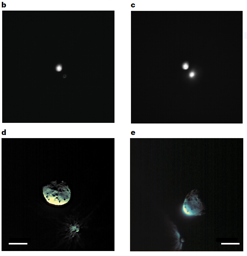 Gli asteroidi del sistema binario visti dagli strumenti di LICIACube. Nello specifico, Didymos e Dimorphos viste da LEIA (b,c) e LUKE (d,e). Immagine b: il sistema binario ripreso a una distanza di circa 1.000 km, 5 s prima dell'impatto; Didymos è visibile al centro e Dimorphos appare come un anello (a causa della sfocatura dello strumento, scoperta durante il volo) nella parte inferiore destra di Didymos. Immagine c: la stessa scena vista 1 s dopo l'impatto. Immagin d: RGB dei bersagli acquisita ad una distanza di 76 km, 159 s dopo l'impatto. Immagine e: RGB a una distanza di 71 km, 174 s dopo l'impatto. Crediti: E.Dotto/INAF/ASI