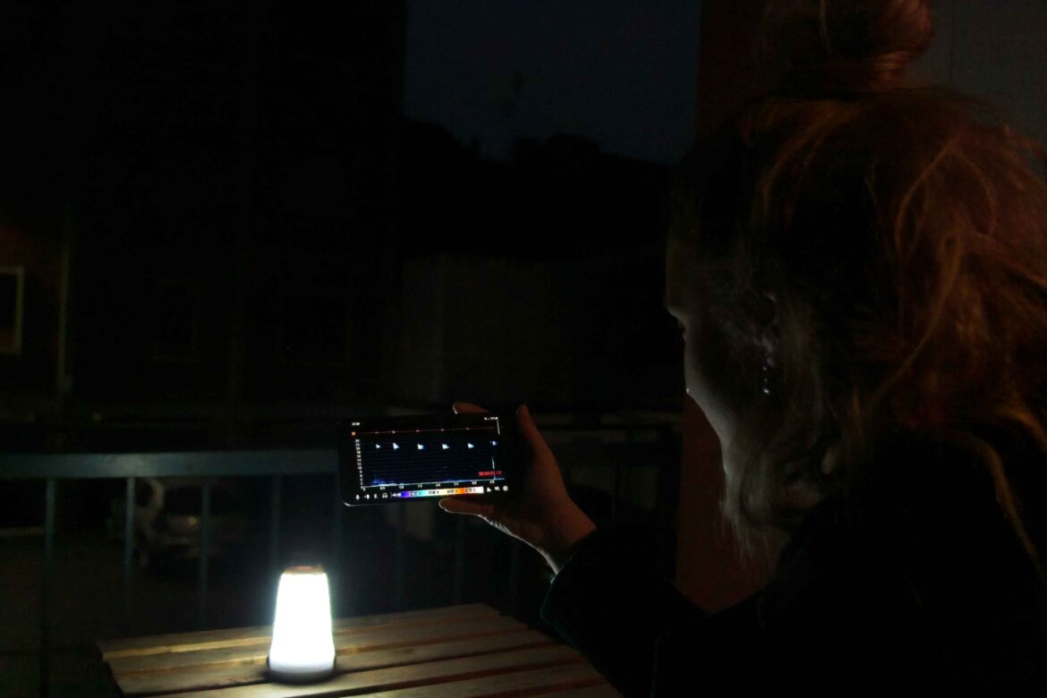 Registrazione dei segnali a bassa frequenza dei chirotteri utilizzando uno smartphone