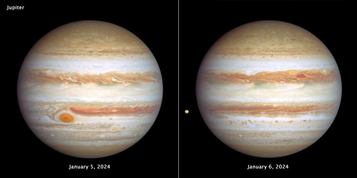 stormy weather Jupiter A side-by-side image showing both faces of Jupiter on the black background of space. The left image is labelled January 5, 2024. Jupiter is banded with stripes of brownish orange, light grey, soft yellow, and shades of cream, punctuated with many large storms and small white clouds. The Great Red Spot is the most prominent feature in the left bottom third of this view. The right image is labelled January 6, 2024. This opposite side of Jupiter is also banded with stripes of brownish orange, light grey, soft yellow, and shades of cream. At upper right of centre, a pair of storms appear next to each other: a deep-red, triangle-shaped cyclone and a reddish anticyclone. Toward the far-left edge of this view is Jupiter’s tiny orange-coloured moon Io.