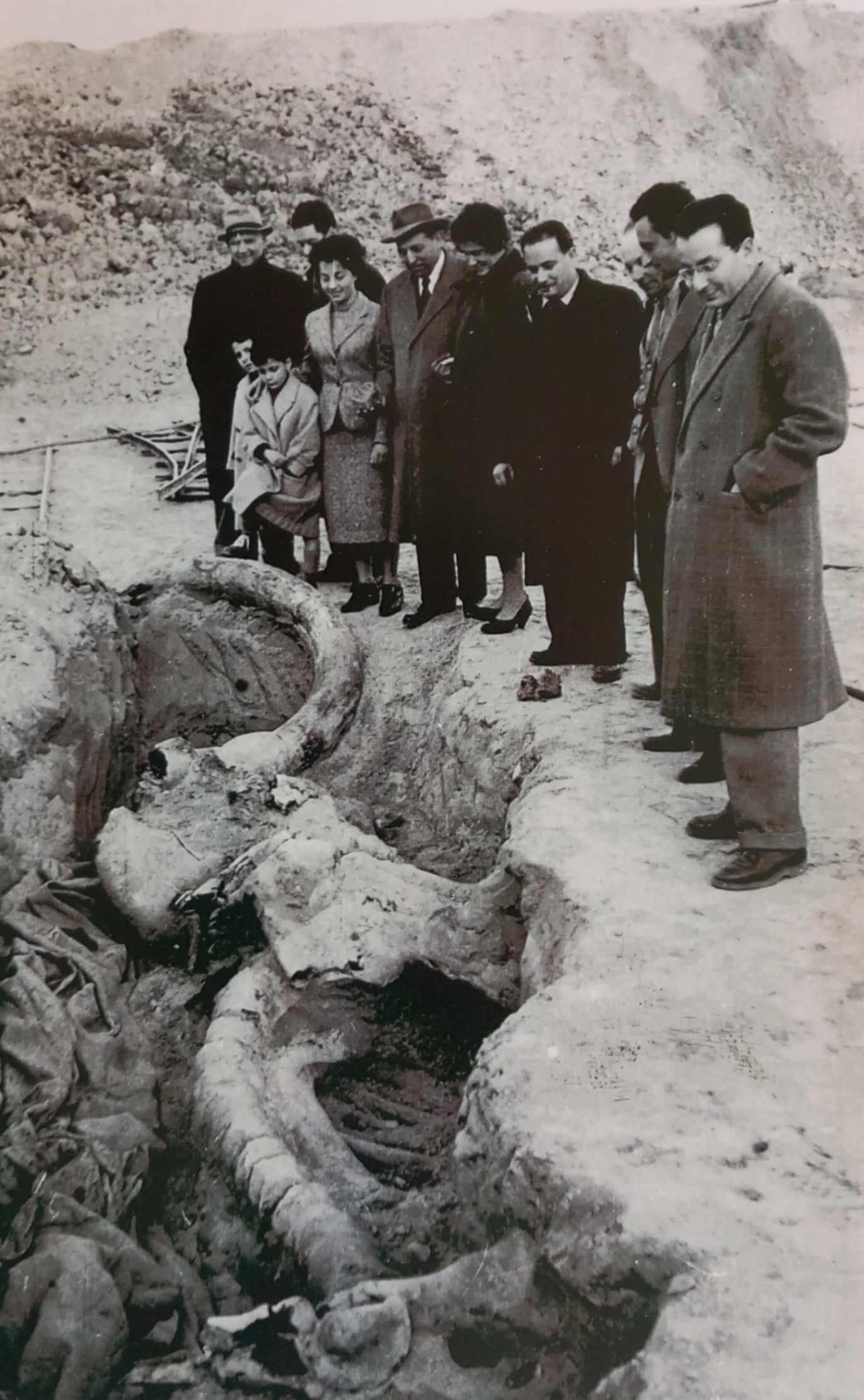 70° anniversario dal ritrovamento dello scheletro fossile del Mammut a L'Aquila