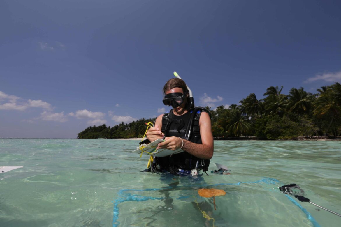 Simone Montano per Map The Giants al lavoro alle Maldive