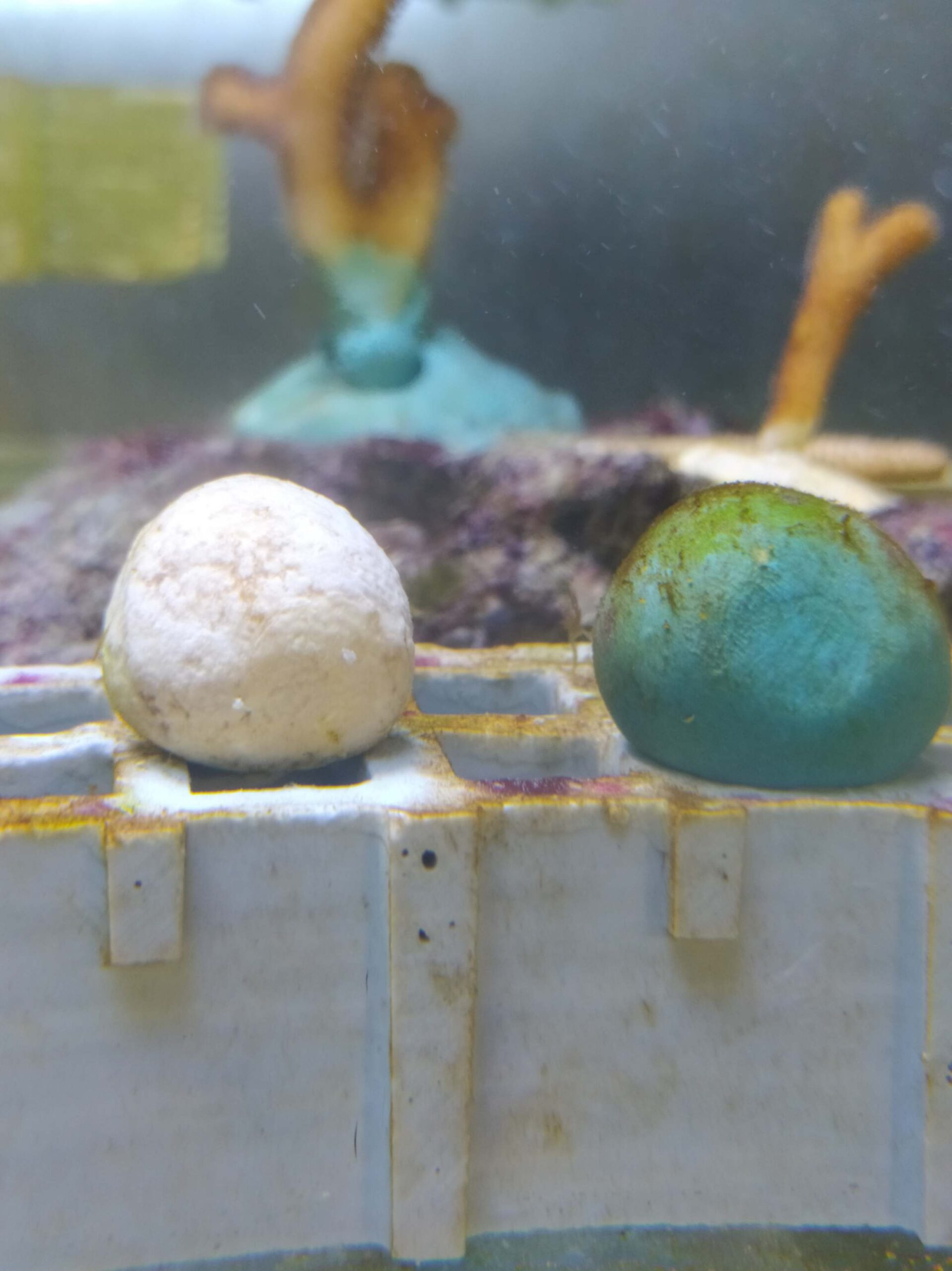 Il nuovo materiale indurente biodegradabile