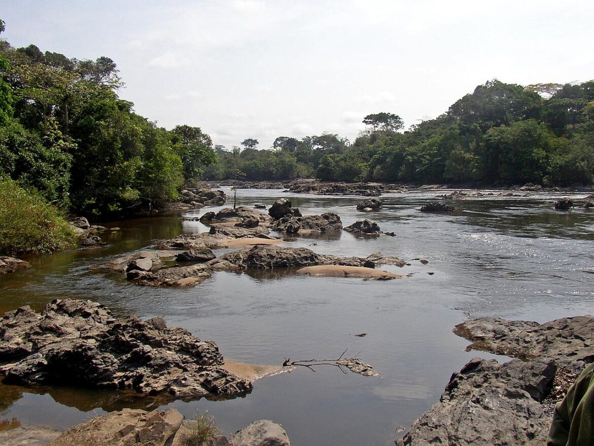 Bacino del Congo il fiume Epulu nella Riserva Faunistica Okapi, Repubblica Democratica del Congo