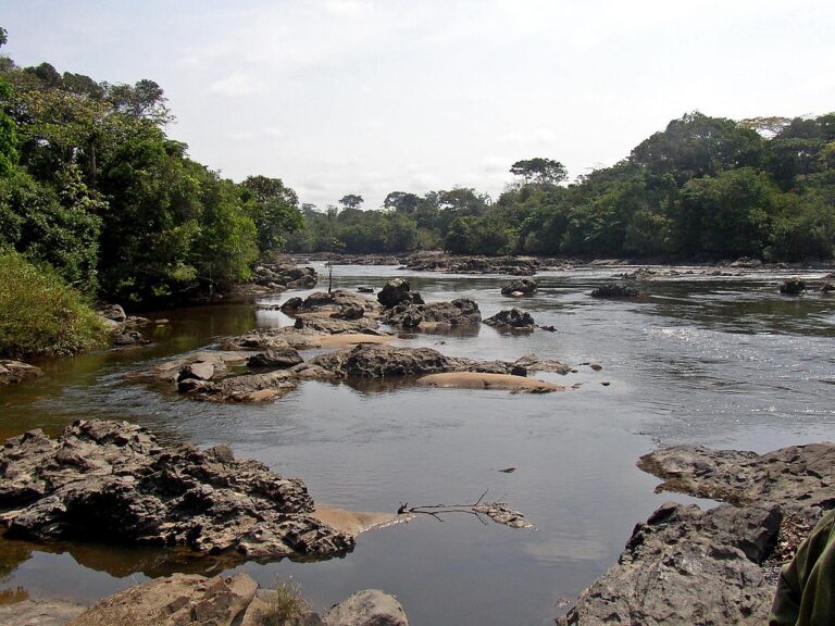 Bacino del Congo il fiume Epulu nella Riserva Faunistica Okapi, Repubblica Democratica del Congo