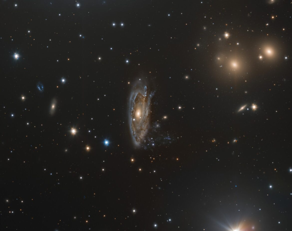 Dettaglio sulla galassia a spirale NGC 3312, ripresa dal telescopio italiano VST (VLT Survey Telescope) in Cile. La forma della galassia, simile a quella di una medusa, tradisce il fenomeno di ram pressure stripping, attraverso il quale il gas freddo delle regioni periferiche della galassia fuoriesce a causa della frizione con il gas, più caldo, che pervade l'ammasso.
