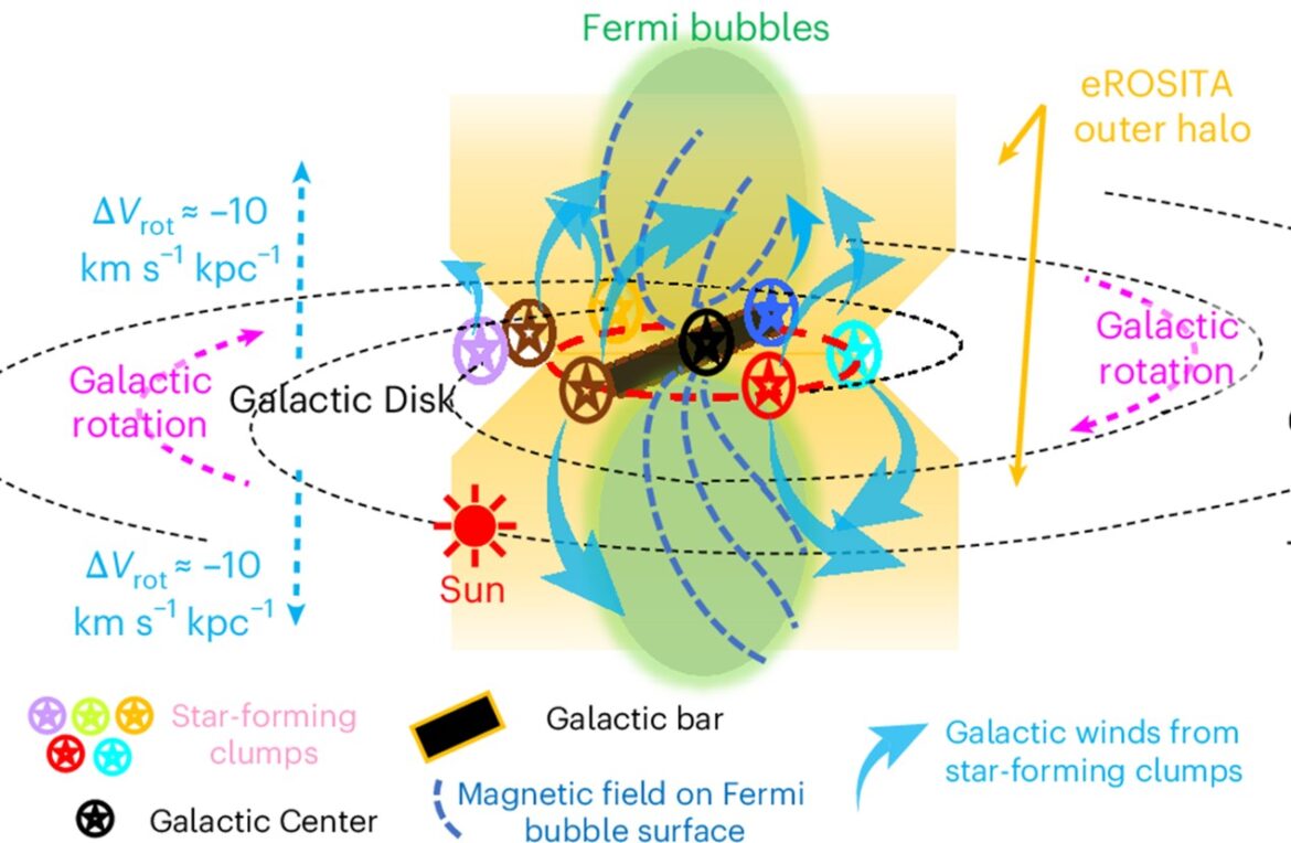Una vista schematica dell'alone della Via Lattea. I deflussi del Centro Galattico corrispondono alle bolle di Fermi. Tuttavia, le bolle eROSITA corrispondono ai deflussi esterni che hanno origine dall'anello di formazione stellare nel disco, a più di diecimila anni luce dal Centro Galattico. Crediti: H.-S. Zhang (INAF) et al. 2024, Nature Astronomy