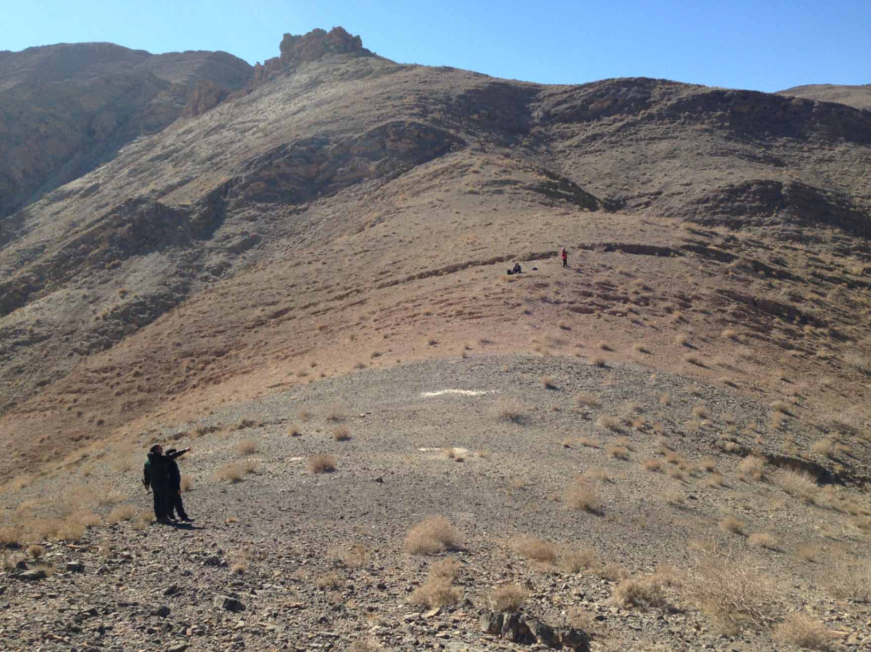 Ricercatori sul campo in Iran centrale, impegnati nella raccolta dei fossili utilizzati nello studio