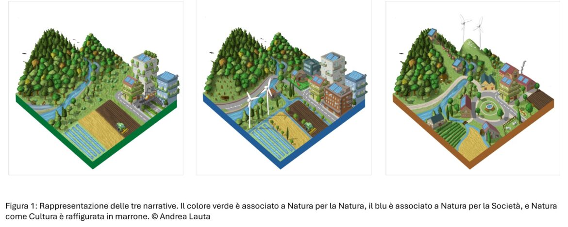 Rappresentazione delle tre narrative NFF