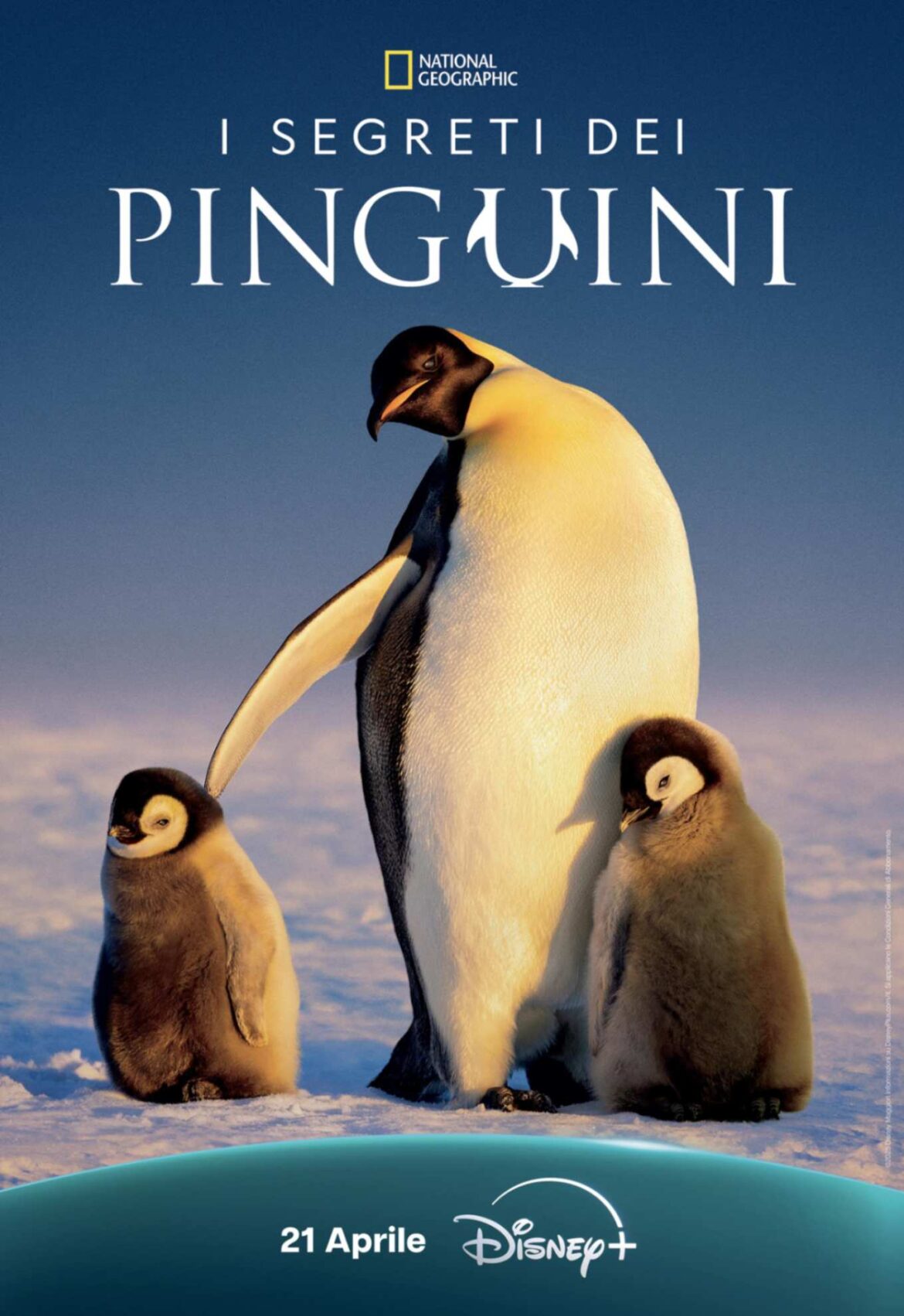 I segreti dei pinguini, la serie Key Art