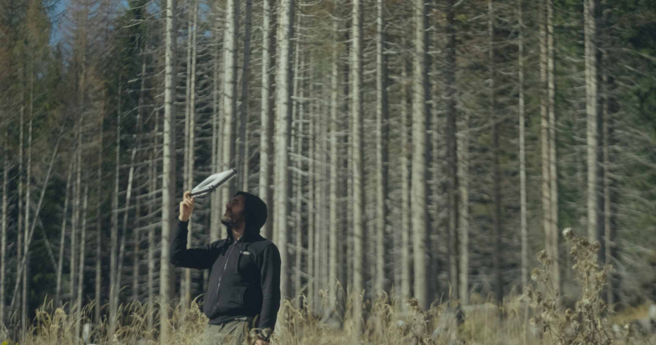 IL CODICE DEL BOSCO