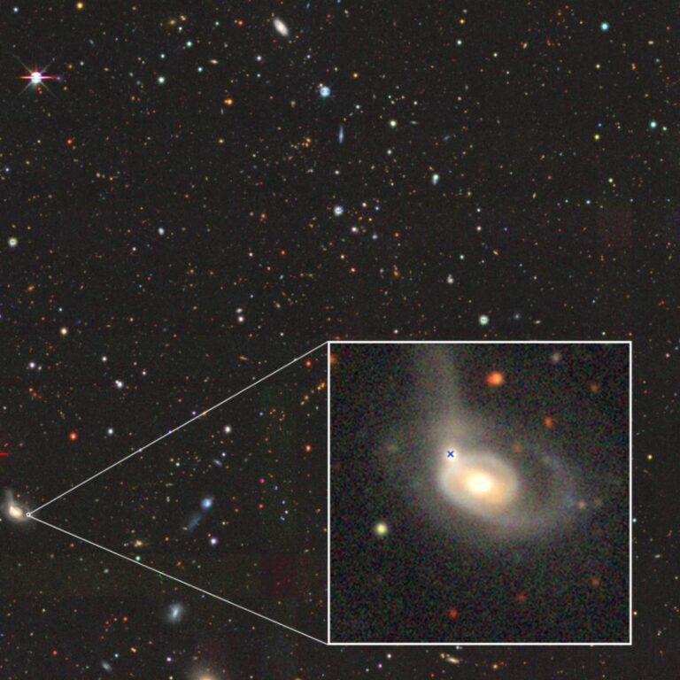 Immagine dal Legacy Survey DR10 del campo di AT 2022wtn. Nel riquadro viene mostrato il transiente che si è verificato nel nucleo della galassia minore in interazione, indicata dalla croce blu. Sono ben visibili le code mareali, risultato dell’interazione gravitazionale e della fusione tra le due galassie. Crediti: Legacy Surveys / D. Lang (Perimeter Institute) / INAF / F. Onori