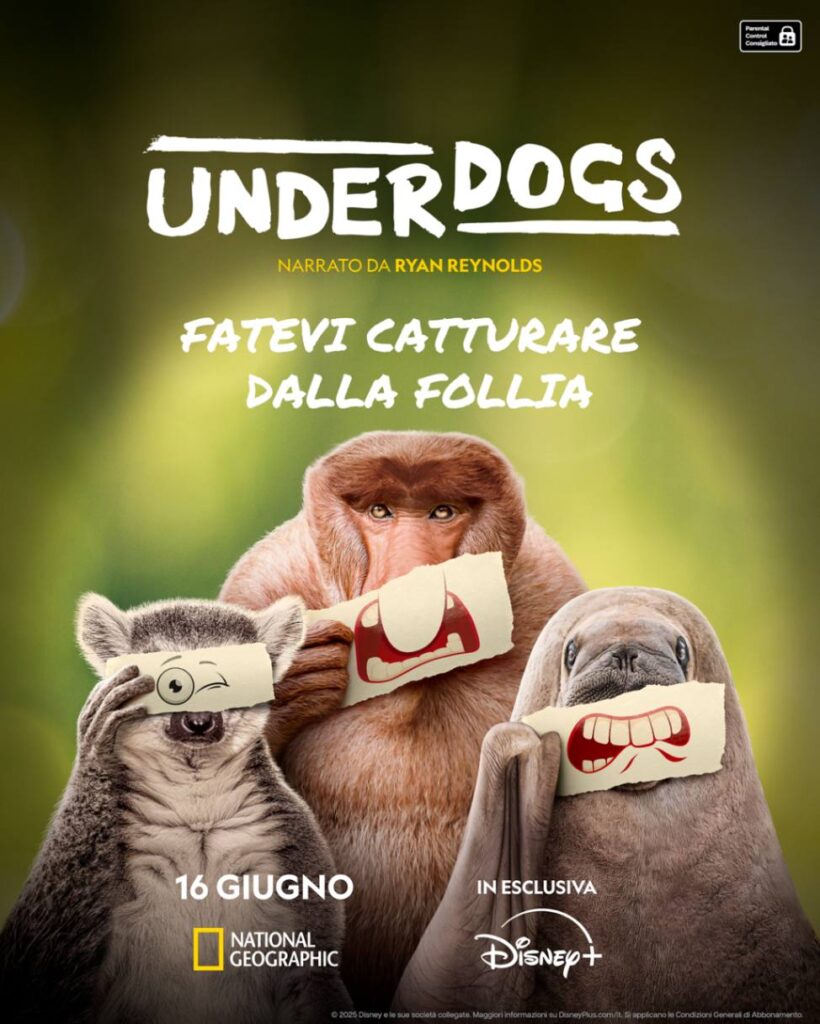 Disney+ Underdogs, la serie con Ryan Reynolds Key Art