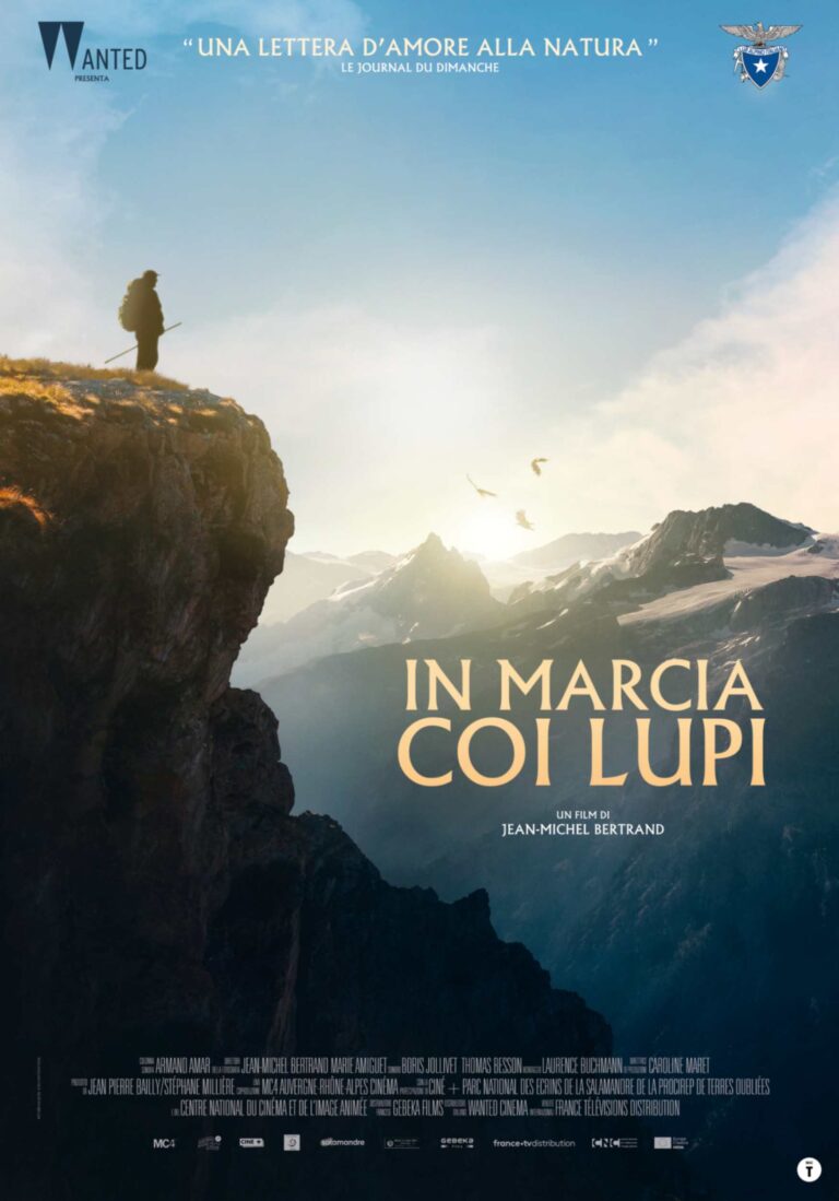 In marcia coi lupi (Marche avec les loups), film documentario di Jean-Michel Bertrand poster