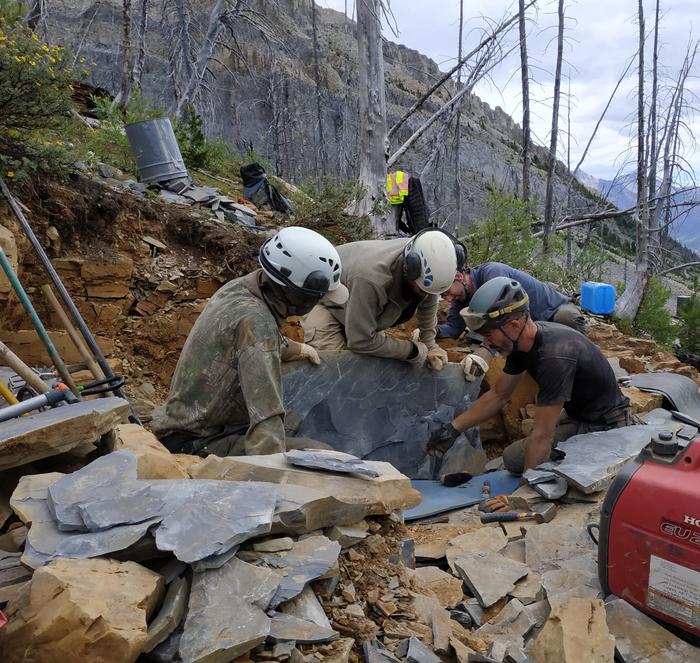 Splitting slabs of shale in the Burgess Shale quarry near Marble Canyon in 2022 – Moysiuk and Caron at center and right, respectively. Photo Credits: © Melina Jobbins