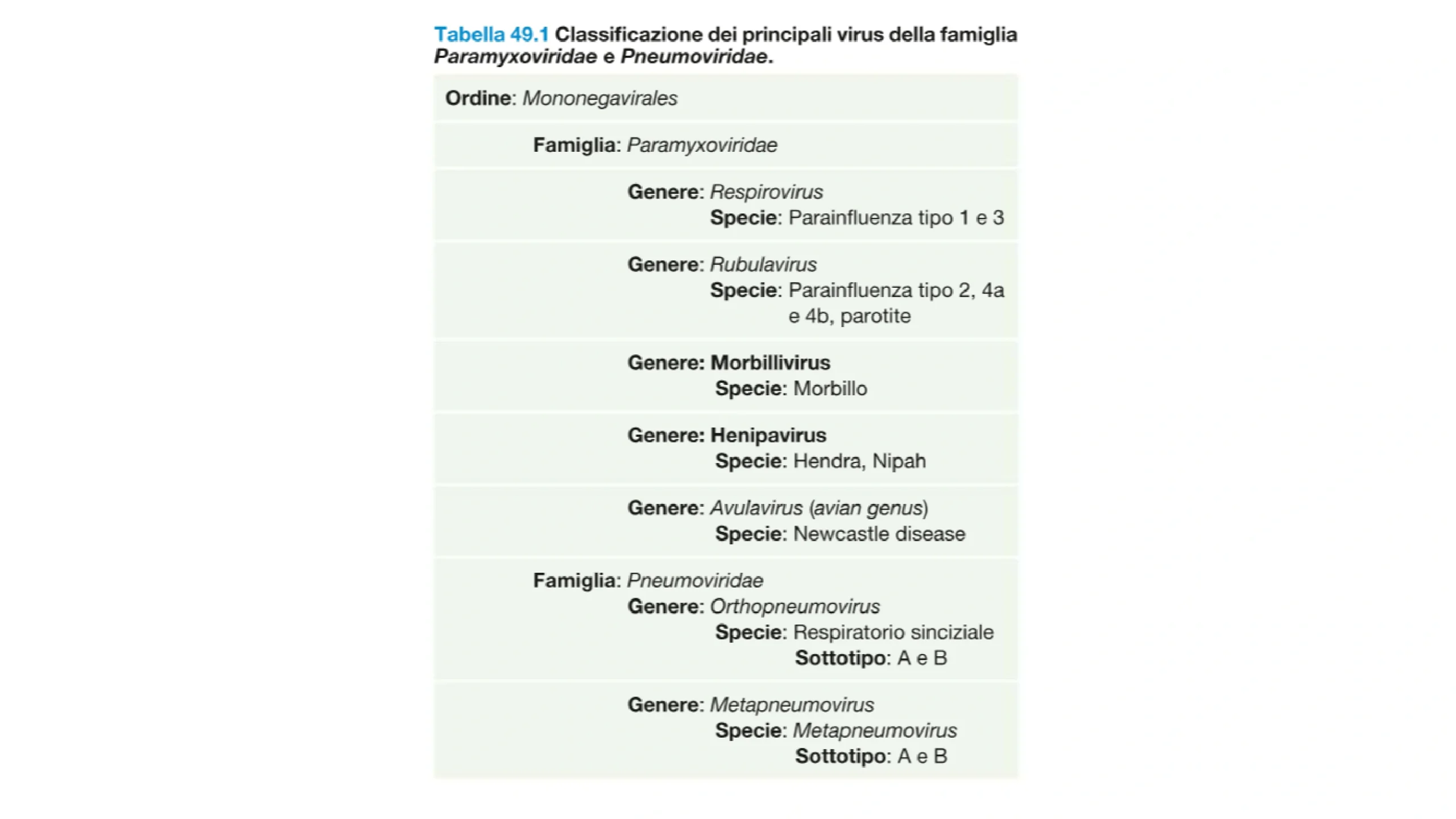 Classifica dei principali virus