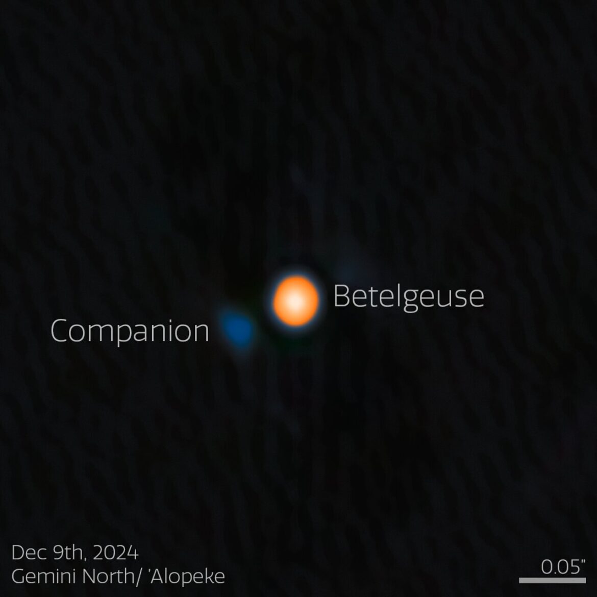 Using the NASA-NSF-funded ‘Alopeke instrument on the Gemini North telescope, one half of the International Gemini Observatory, partly funded by the U.S. National Science Foundation (NSF) and operated by NSF NOIRLab, astronomers have discovered a companion star in an incredibly tight orbit around Betelgeuse. This discovery answers the millennia-old question of why this famous star experiences a roughly six-year-long periodic change in its brightness, and provides insight into the physical mechanisms behind other variable red supergiants. The companion star appears blue here because, based on the team’s analysis, it is likely an A- or B-type star, both of which are blue-white due to their high temperatures. ‘Alopeke is funded by the NASA-NSF Exoplanet Observational Research Program (NN-EXPLORE). Credit: International Gemini Observatory/NOIRLab/NSF/AURA Image Processing: M. Zamani (NSF NOIRLab)