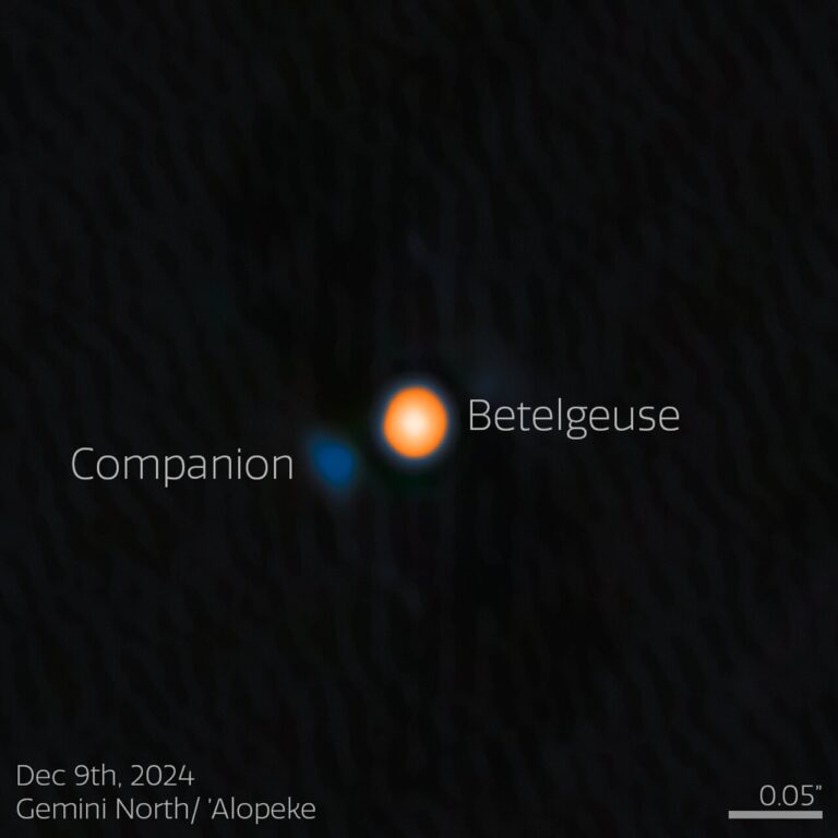 Using the NASA-NSF-funded ‘Alopeke instrument on the Gemini North telescope, one half of the International Gemini Observatory, partly funded by the U.S. National Science Foundation (NSF) and operated by NSF NOIRLab, astronomers have discovered a companion star in an incredibly tight orbit around Betelgeuse. This discovery answers the millennia-old question of why this famous star experiences a roughly six-year-long periodic change in its brightness, and provides insight into the physical mechanisms behind other variable red supergiants. The companion star appears blue here because, based on the team’s analysis, it is likely an A- or B-type star, both of which are blue-white due to their high temperatures. ‘Alopeke is funded by the NASA-NSF Exoplanet Observational Research Program (NN-EXPLORE). Credit: International Gemini Observatory/NOIRLab/NSF/AURA Image Processing: M. Zamani (NSF NOIRLab)