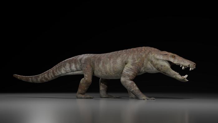 Kostensuchus atrox – life restauration, 3 meters long. Art by Gabriel Diaz Yanten. Gabriel Diaz Yanten, CC-BY 4.0