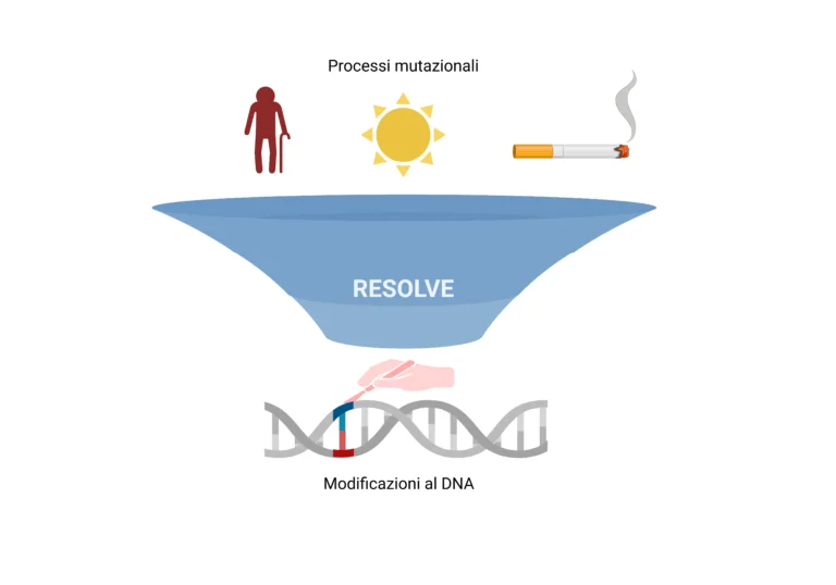RESOLVE: nuovo metodo per svelare le origini delle mutazioni nel cancro figura esplicativa del metodo RESOLVE