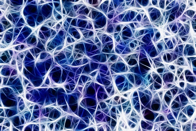 impulsiDislessia: ecco il test che personalizza i parametri di lettura e di sintesi vocale, la speciale procedura automatizzata chiamata Seleggotest