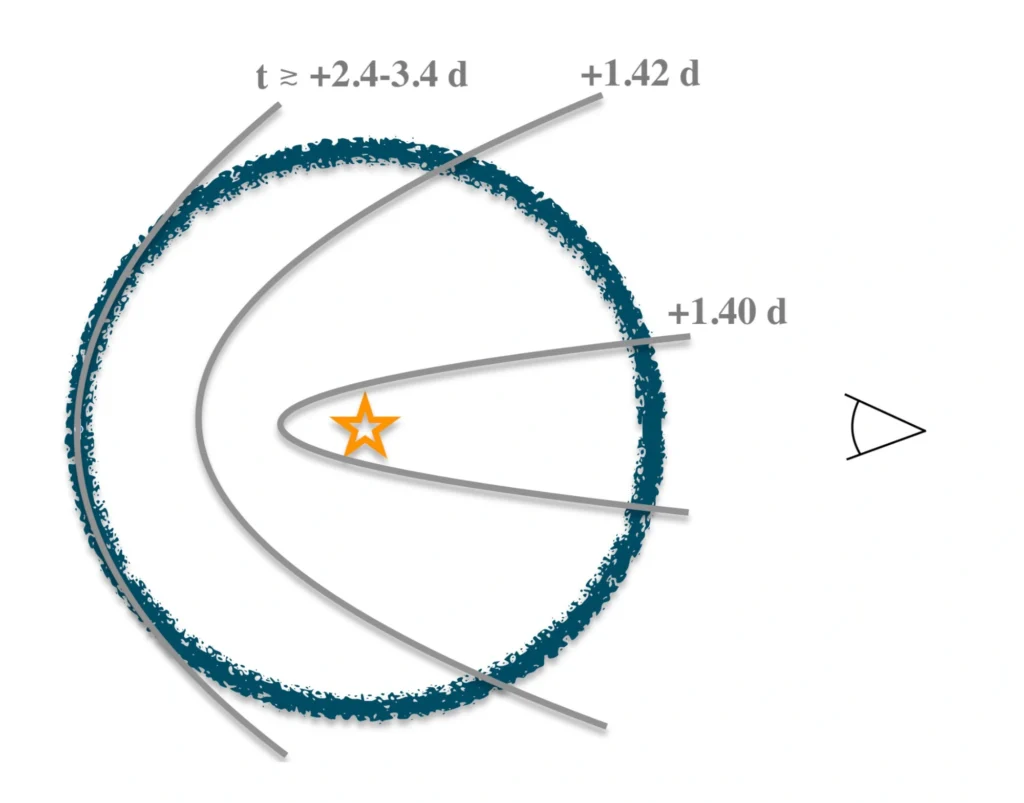 diagramma schematico, non in scala, del sito dell’esplosione di SN 2024bch. La supernova è indicata dalla stella al centro, mentre il materiale circumstellare che emette le righe strette è la regione blu più lontana. Le parabole rappresentano la luce emessa dalla supernova a diverse epoche e intercettano il mezzo circumstellare finché non raggiungono l’estremità opposta all’osservatore, circa 2,4 giorni dopo l’esplosione. Questa semplice geometria riesce a spiegare in modo molto efficace l’evoluzione del transiente nell’ipotesi in cui gli ejecta non interagiscono con il mezzo. Crediti: L. Tartaglia et al. / A&A 2025