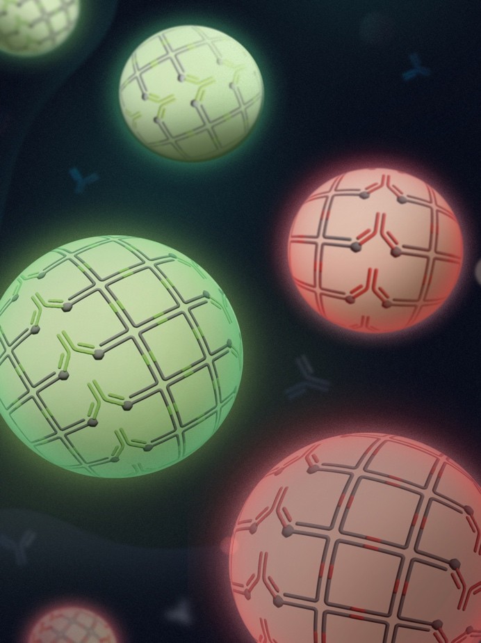 rappresentazione artistica delle goccioline sferiche ibride di DNA e anticorpi